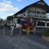 Отель Jugiong Motor Inn, фото 6