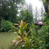 Отель Baan Suan Thip Homestay, фото 17