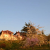 Отель Agriturismo San Giovanni al Monte, фото 17