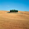 Отель Agriturismo Podere Osteria, фото 3