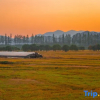 Отель Moganshan - Designer Hot Spring Resort Homestay, фото 18