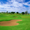 Отель Hilton Ponce Golf & Casino Resort, фото 25