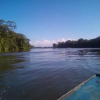 Отель Cabinas Tortuguero, фото 17