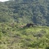 Отель Ruaha Hilltop Lodge, фото 17