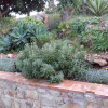 Отель Seaside House in Rais Gerbi Residence, фото 25