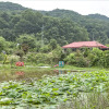 Отель Yeoju Haneuljeongwon Pension, фото 12