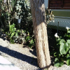 Отель Property With One Bedroom In Sigean, With Enclosed Garden - 6 Km From The Beach, фото 13