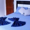 Отель Canoa Guest House, фото 8