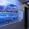 Отель Ocean Wifi Hotel, фото 13
