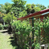 Отель Casa Consuelo, фото 6