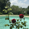 Отель Il Lauro B&B, фото 17