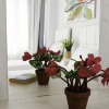 Отель Corfu Sea View Villa - Cleo, фото 21