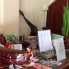 Отель Alliance Villa, фото 2