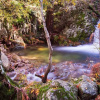 Отель Fonte D Rosa - Belmonte, фото 13