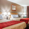 Отель Econo Lodge Inn & Suites, фото 4