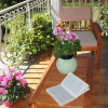 Отель Le Coccinelle, фото 10
