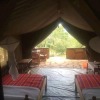 Отель Semadep Safari Camp, фото 14