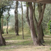 Отель Holiday home Achter de Duinen, фото 6