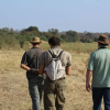 Отель Mthimkhulu Private Game Reserve- Adults Only, фото 30