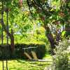 Отель Domaine Charente - B&B / Familyroom Le Jardin (with external toilet & shower house), фото 24