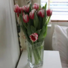 Отель Ros Mor B&B, фото 9
