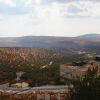 Отель Taybeh Golden Hotel, фото 27