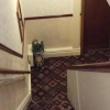 Отель Shazron Guest House, фото 12
