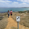 Отель Paradise Beach Apartments Langebaan 9 Elara, фото 4