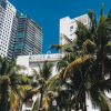 Отель Shore Club South Beach, фото 47