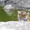 Отель Tiger Valley Resorts by Nature Group, фото 15