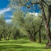 Отель Tenuta di Santa Lucia, фото 9