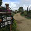 Отель Villa Liliana Lodge, фото 16
