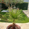 Отель Apartmani Meriko, фото 7