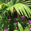 Отель Casita Madame, фото 11