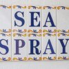Отель Sea Spray, фото 10