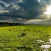 Отель Phong Nha Eco Mountain Farmstay, фото 4