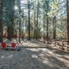 Отель Catalina Creekside Cabin, фото 3