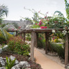 Отель Green and Blue Ocean Lodge, фото 9