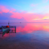 Отель Mystic Divers Guesthouse, фото 15