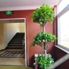Отель Pengcheng Hotel, фото 4