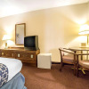 Отель Econo Lodge Inn and Suites Sandy, фото 7
