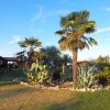 Отель B & B Le Tre B, фото 11