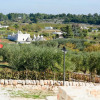 Отель Trullo Il Fragno, фото 12