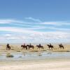 Отель Auberge de la Dune, фото 26