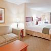 Отель Holiday Inn Express Hotel & Suites Auburn Hills, an IHG Hotel, фото 25