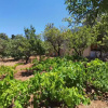 Отель Korakies private traditional house ,2000sqm yard, фото 15