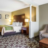 Отель Comfort Inn & Suites Walterboro I-95, фото 24