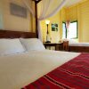 Отель Lower Dover Jungle Lodge & Maya Ruins - Hostel, фото 6