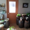 Отель Familia - Hostel, фото 9