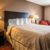 Отель Quality Inn & Suites, фото 1